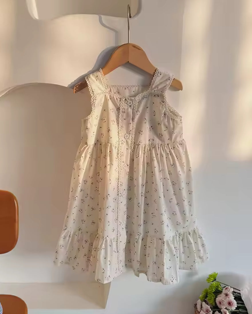 Lace Meadows Dress