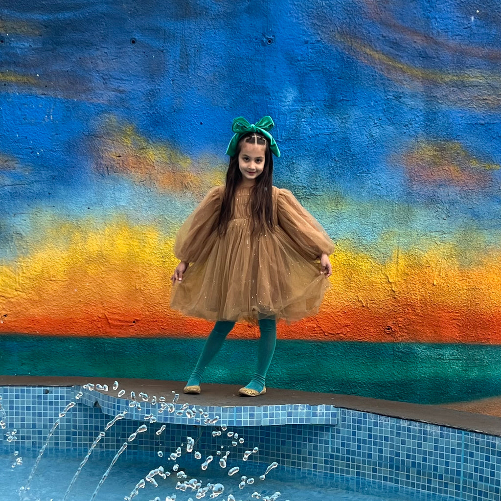 Shimmer Tulle Dress