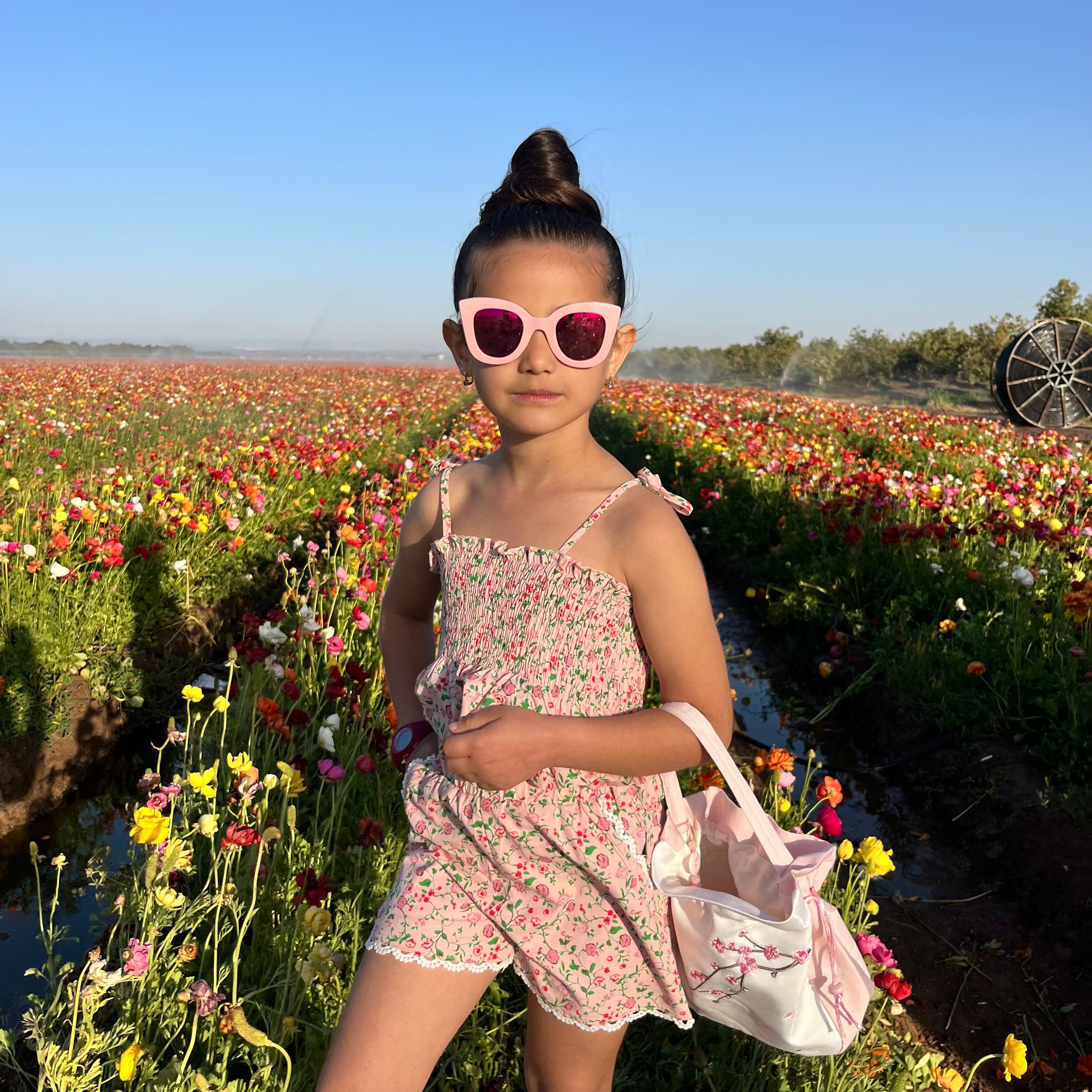 Sun-Kissed Petals Set