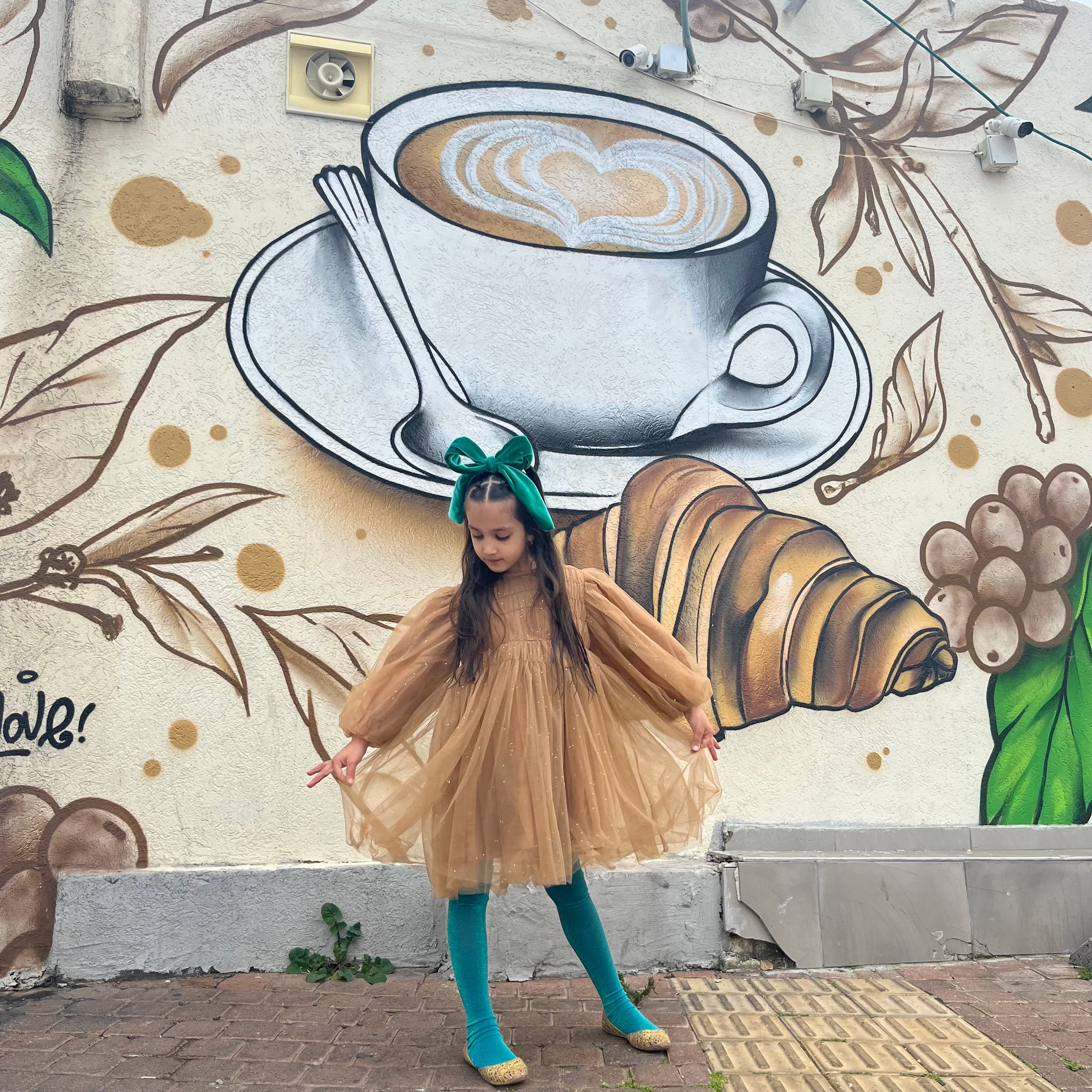 Shimmer Tulle Dress
