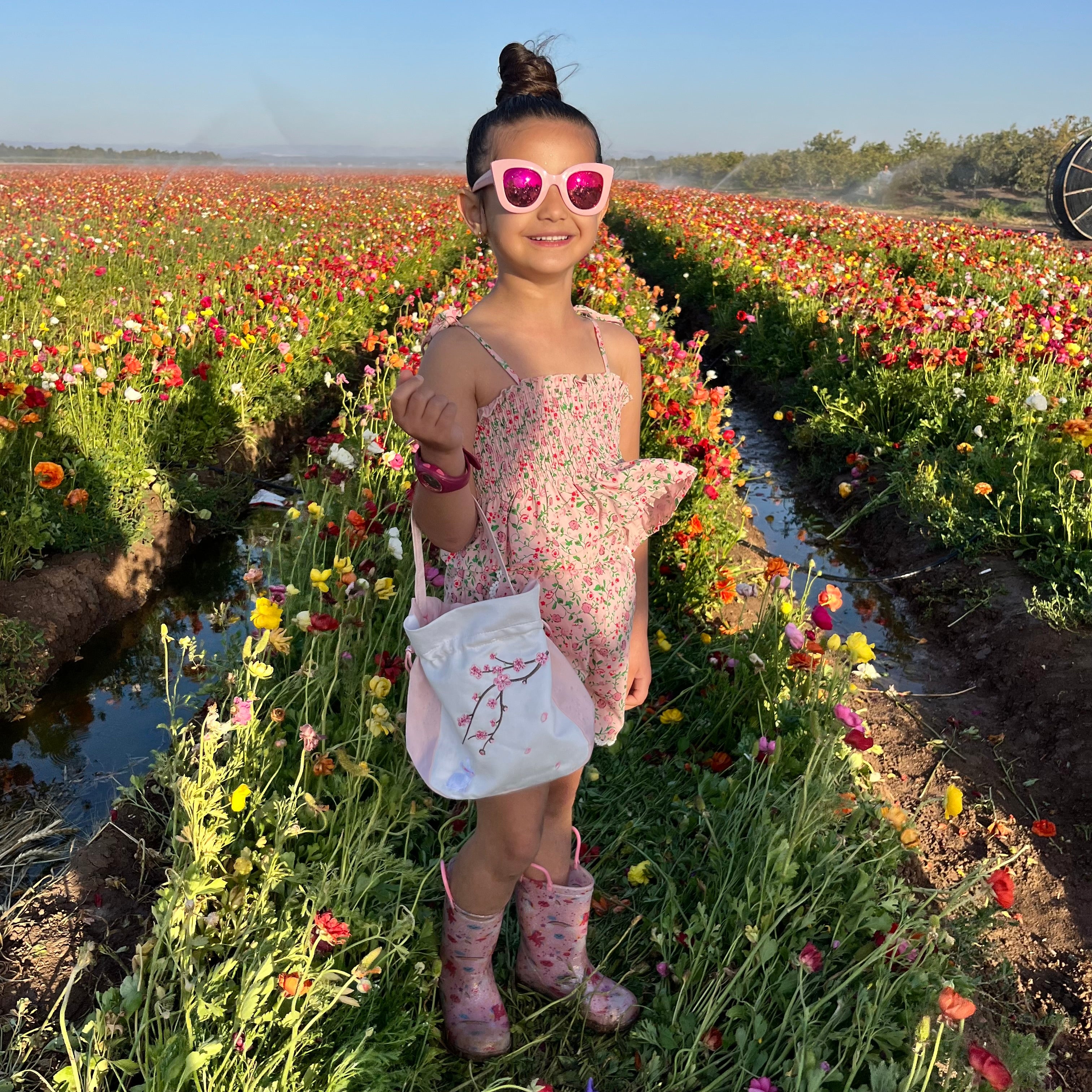 Sun-Kissed Petals Set