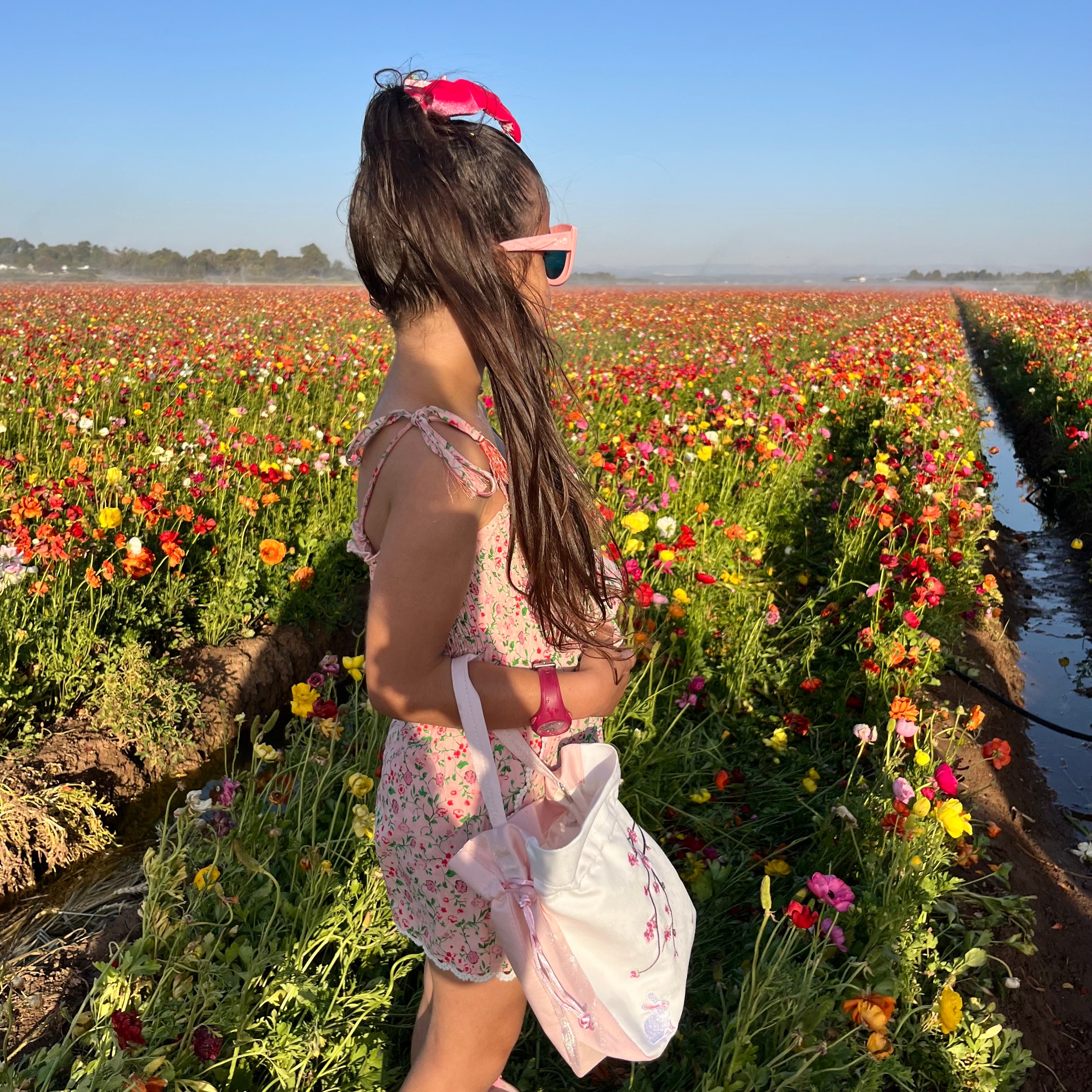 Sun-Kissed Petals Set