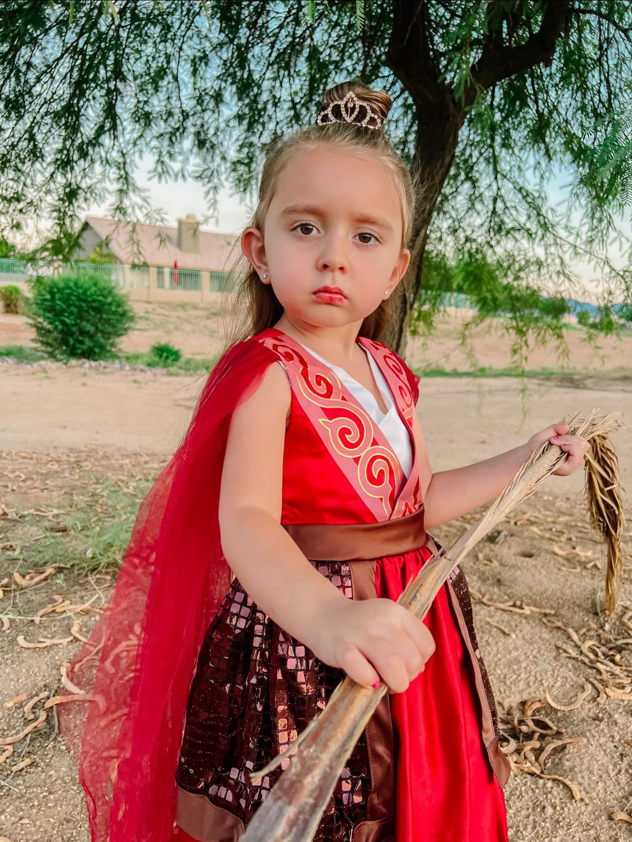 Warrior Princess Dress