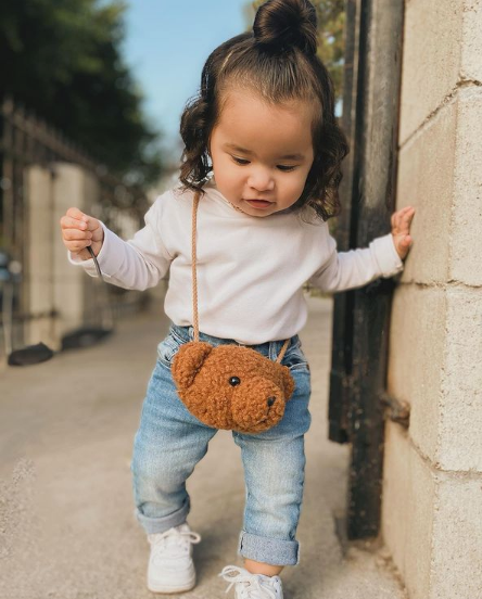 Teddy Bear Bag