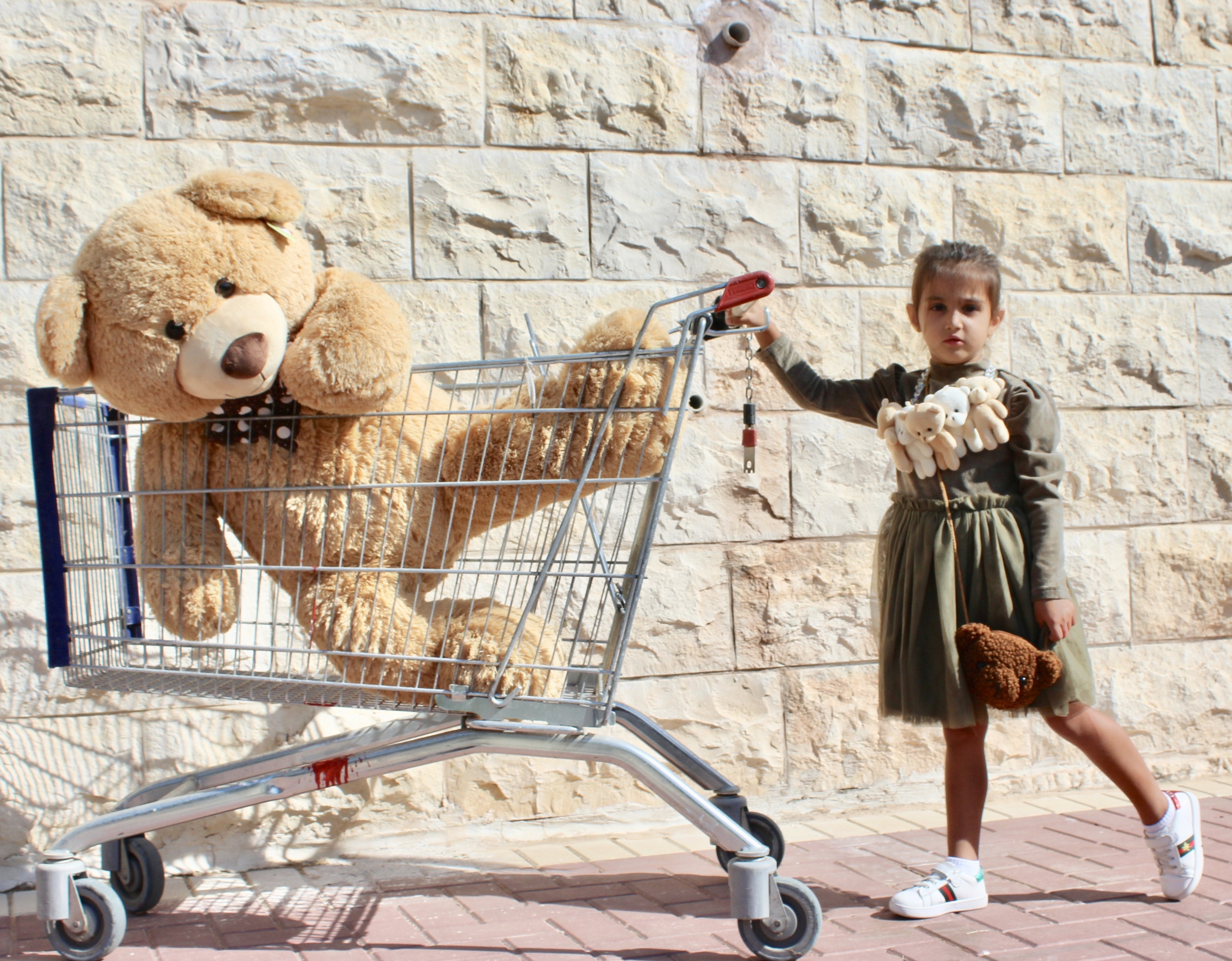 Teddy Bear Bag