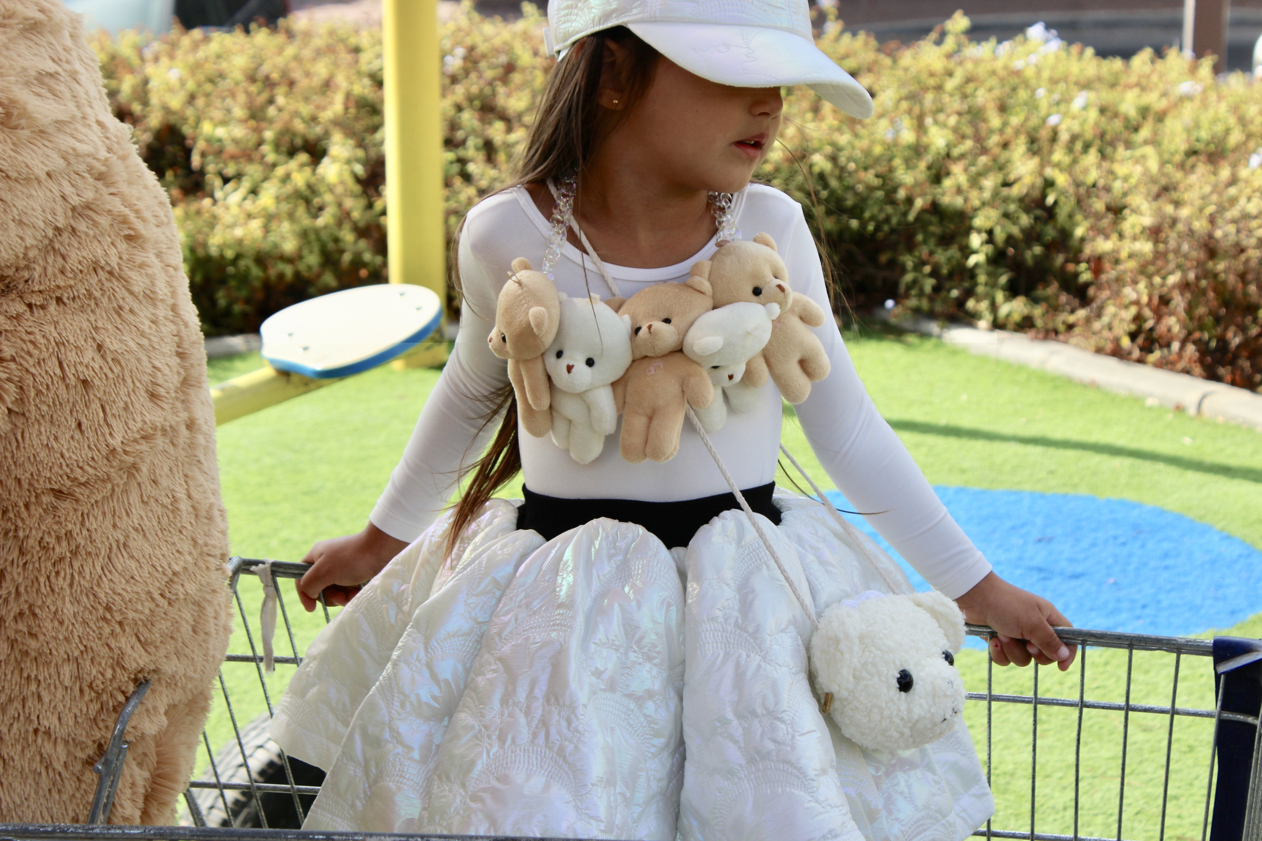 Teddy Bear Bag