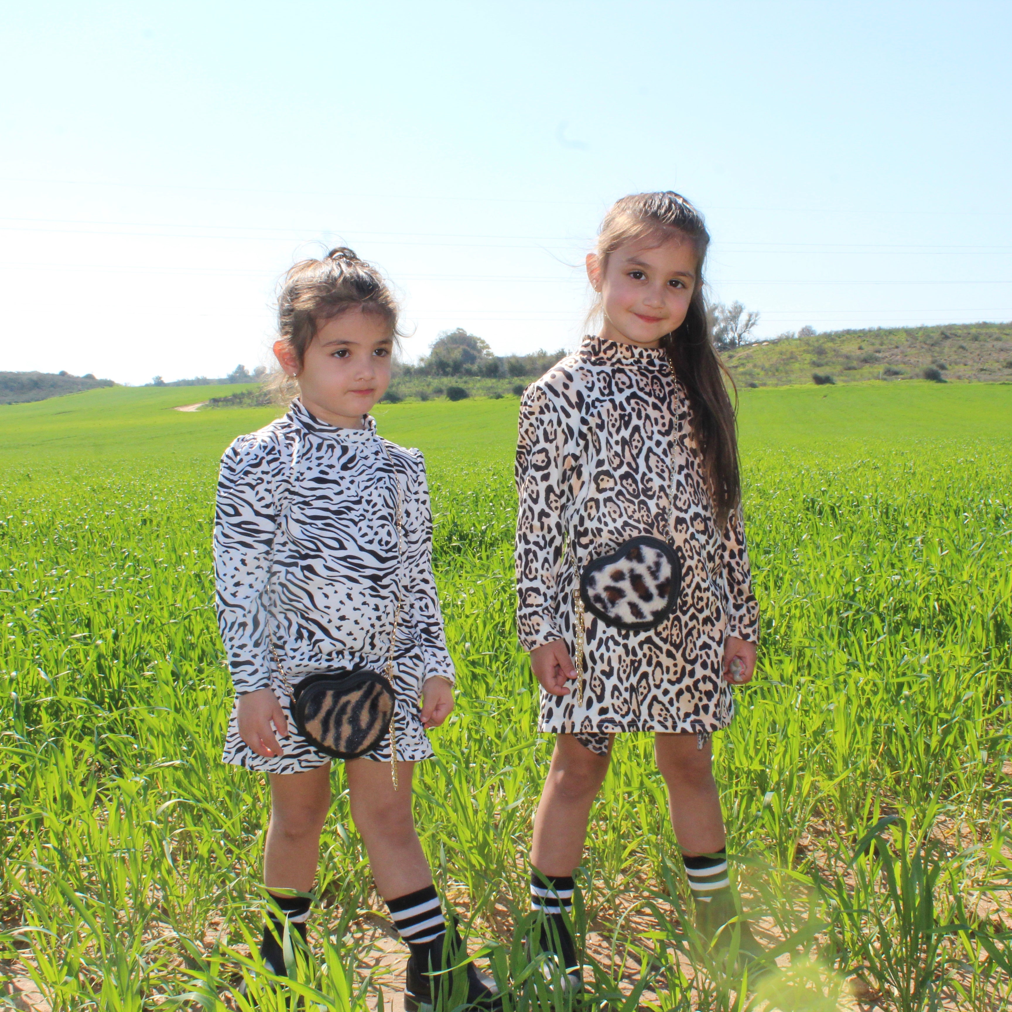 Animal Print Dress