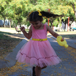Sunshine Velvet Hair Bow Clips
