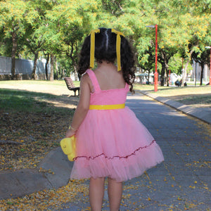 Sunshine Dress Pink