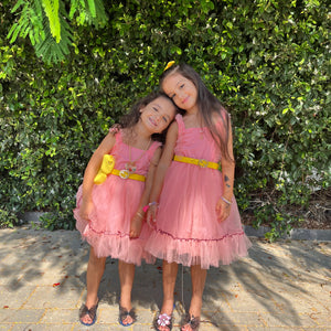 Sunshine Dress Pink